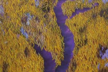 Ahmet Yeşil, İmgeler 6 (2023), 120x160 cm, Tuval üzerine yağlı boya