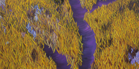 Ahmet Yeşil, İmgeler 6 (2023), 120x160 cm, Tuval üzerine yağlı boya